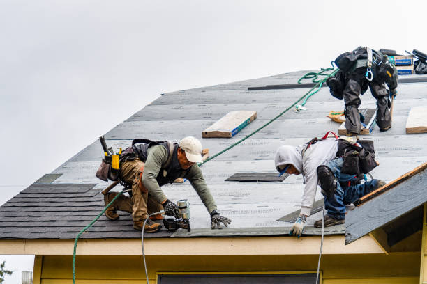 Professional Storm Damage Roof Repair technician working in Yulan, NY